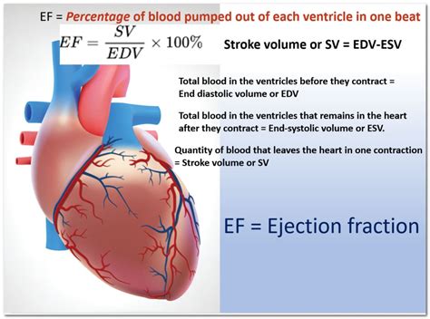 lv ejection fraction 60-65|what is hypokinesis.